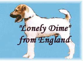 Lonely Dime | Parson Russell Terrier 