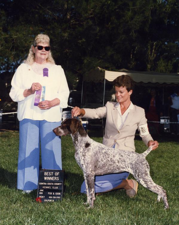 Placer Country's Que Sera Sera | German Shorthaired Pointer 