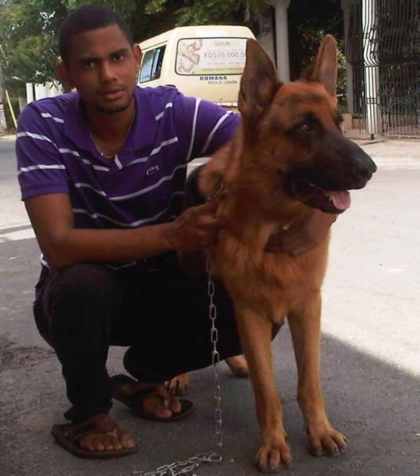 Tupac Torres | German Shepherd Dog 