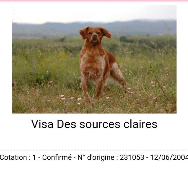 VISA des Sources Claires | Brittany 