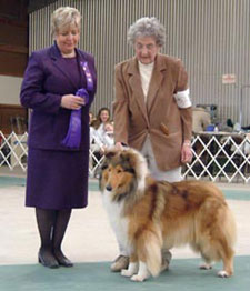 Marnus Happy Go Lucky | Rough Collie 