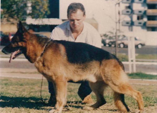 Wum vom Wildsteiger Land | German Shepherd Dog 