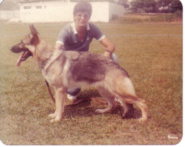 Xuxa do Vale dos Barris | German Shepherd Dog 