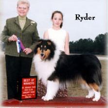 Kara Christo Ebony Ruler | Rough Collie 