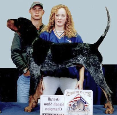 Razor Ridge Pop A Top Again | Bluetick Coonhound 
