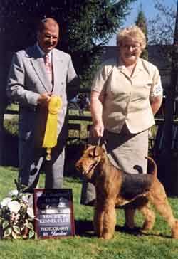 Aria Cymbeline Anna Akhmatova | Airedale Terrier 