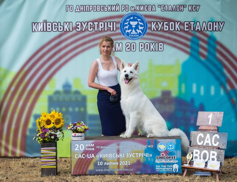 ARCHIE Royal White of the Best | White Swiss Shepherd Dog 