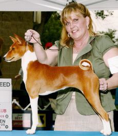 Taji Hodari On The Wings Of A Dove | Basenji 