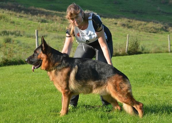 Neptun vom Nöthenhaus | German Shepherd Dog 