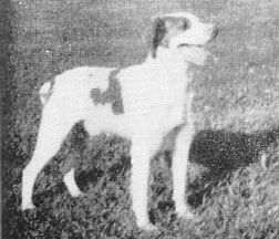 Skipper Ral-mar | Brittany 