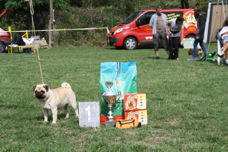 Cindy Queen´s Hermelin | Pug 