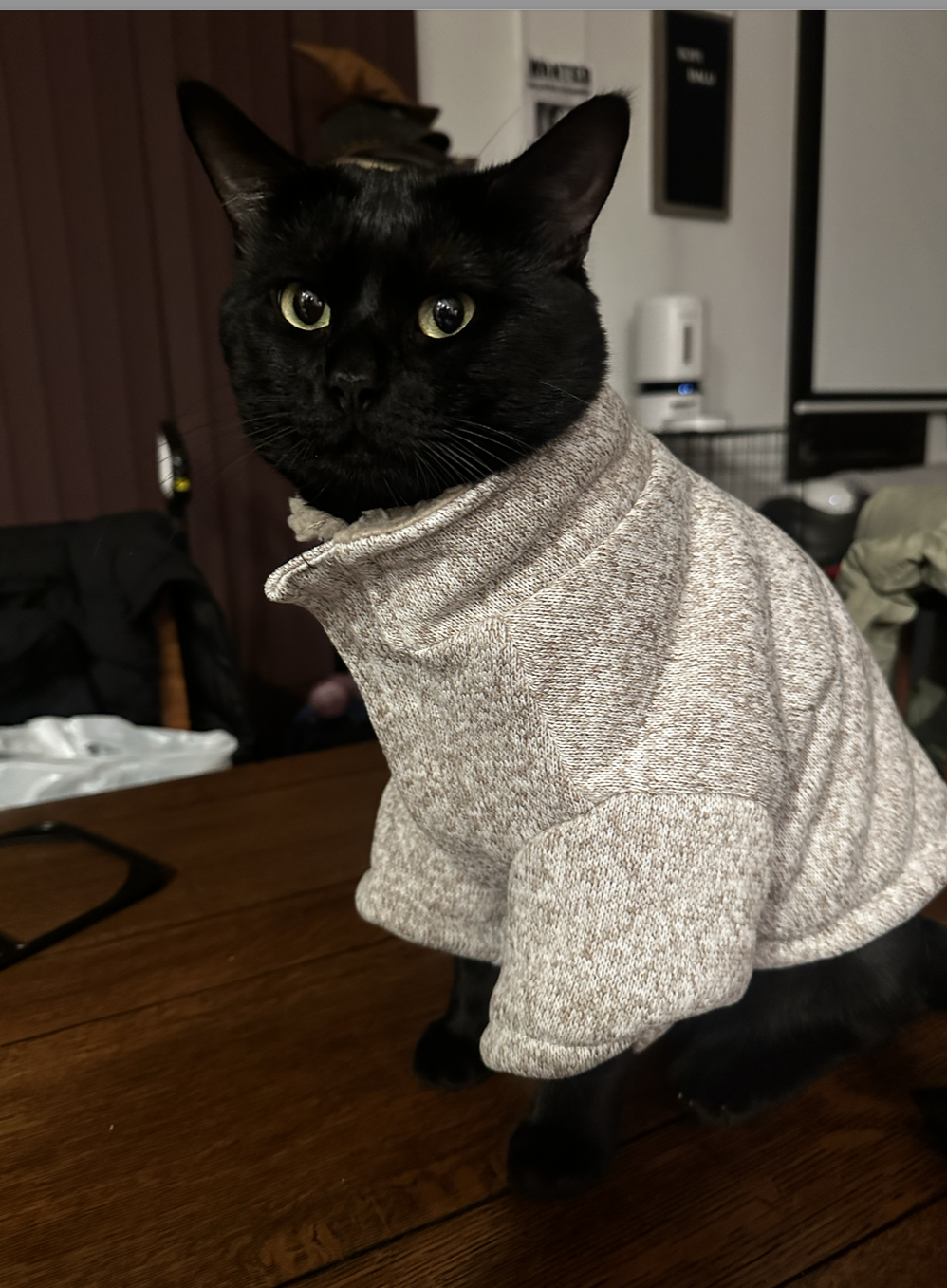 Christmas Sweater