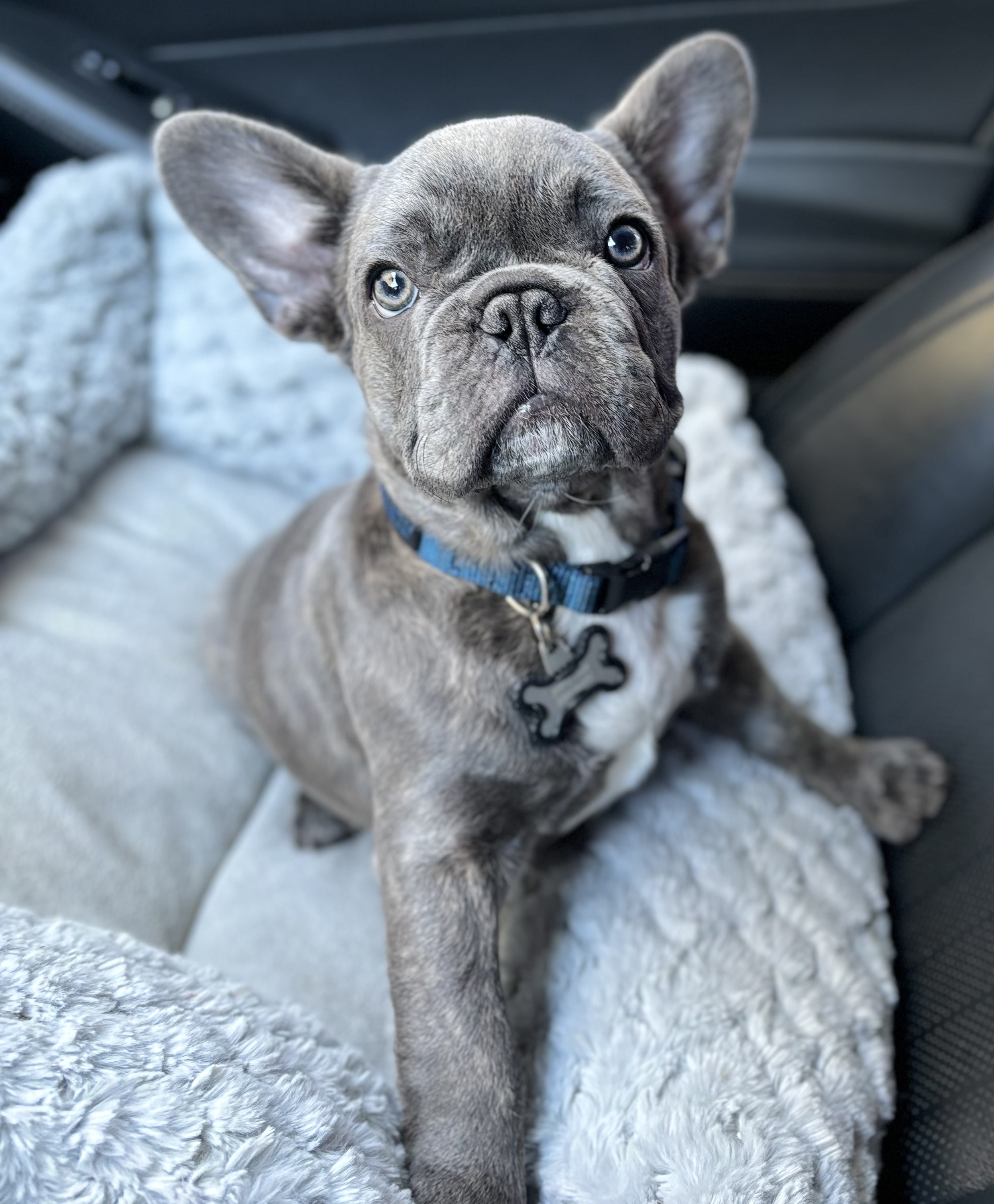 Monty